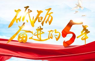多元布局，中国车企奋进全球路