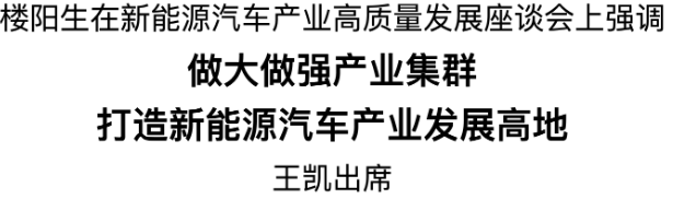 做大做强是汽车产业高质量发展的重要部分