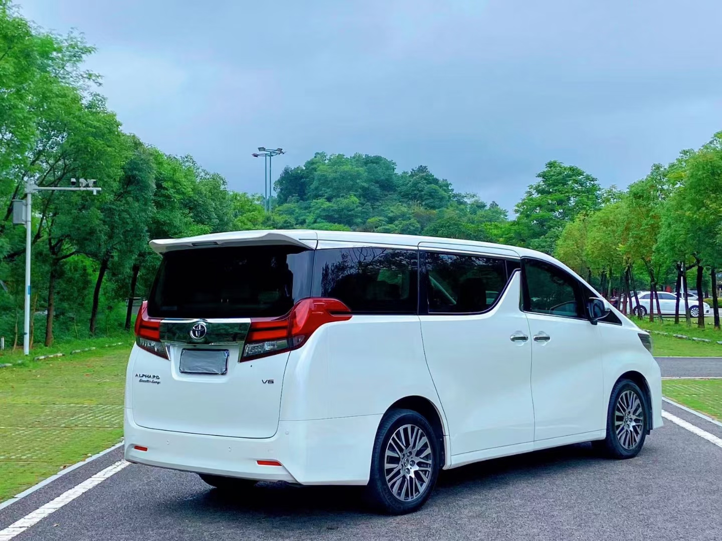 进口埃尔法商务车现车可售