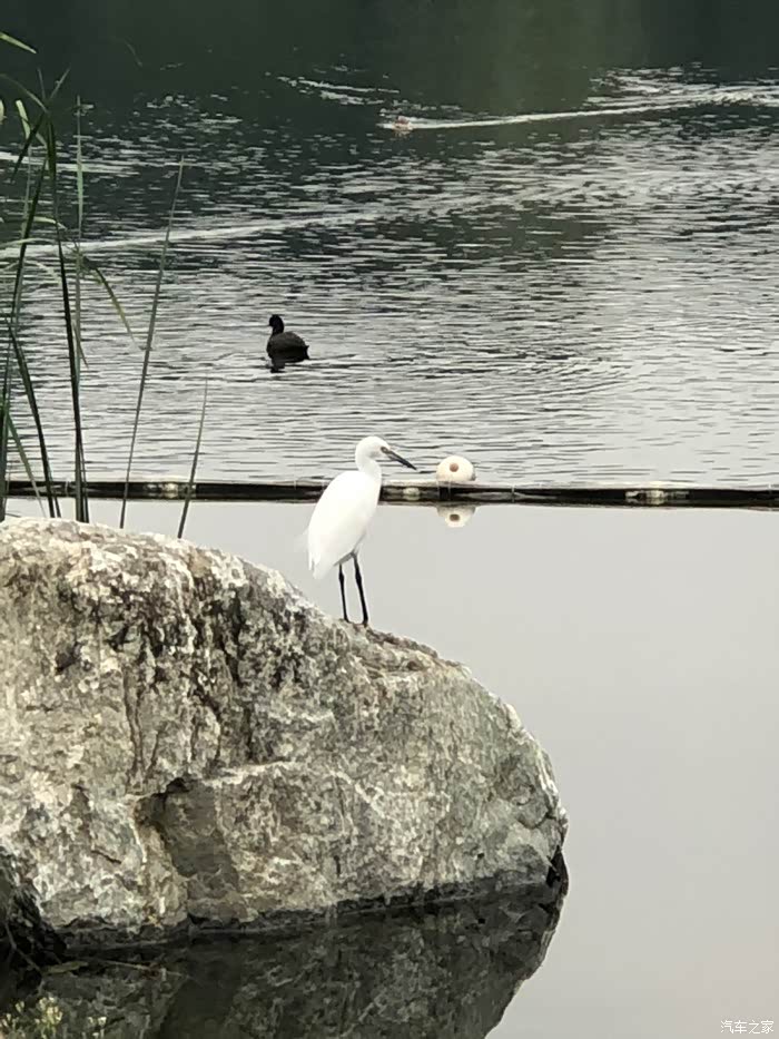 成都柯迪亚克4S店售价13.49万起 优惠高达5.70万