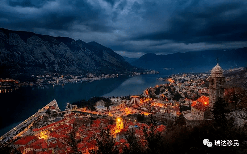 理想入欧，要动真格了